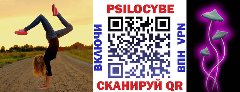 где купить   Краснодар  omg   Псилоцибиновые грибы Psilocybine cubensis 