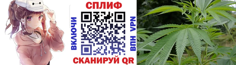 Каннабис сатива  купить наркоту  Краснодар 